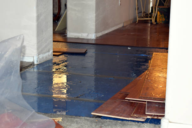 Professional Burst Pipe Cleanup technician working in Marissa, IL
