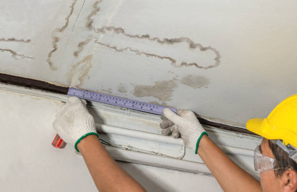 Reliable Burst Pipe Cleanup contractor in Marissa, IL by Water Damage Irwin